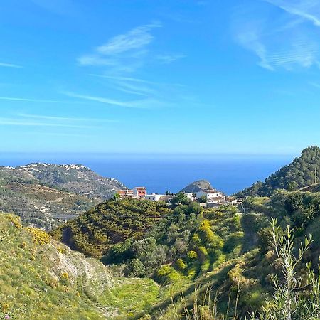 Villa Francisca Malaga Ngoại thất bức ảnh